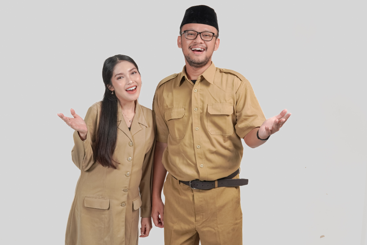 pegawai negeri sipil (PNS)